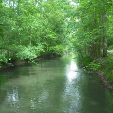 Réserve naturelle régionale du Ried de Sélestat, l'Ill*Wald