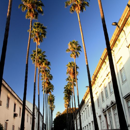 Jardín Botánico de la Universidad de Lisboa