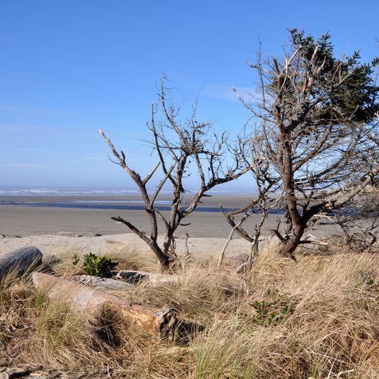 Ona Beach State Park
