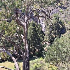 Wombeyan Karst Conservation Reserve