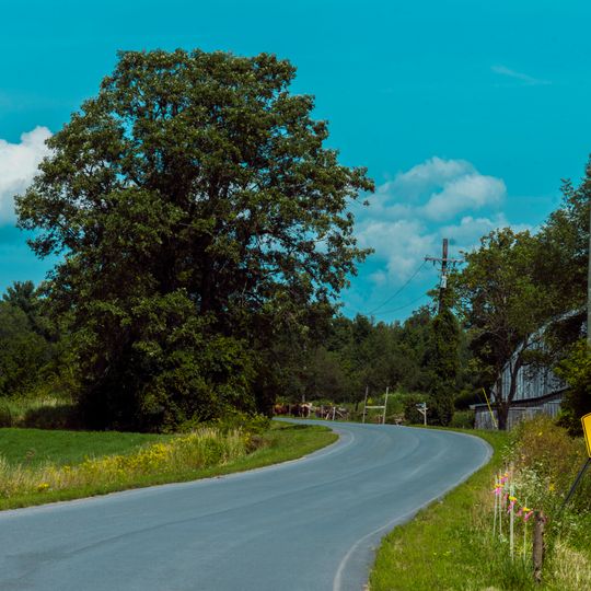 Roxham Road