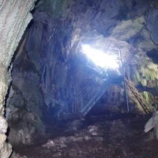 Голубарница