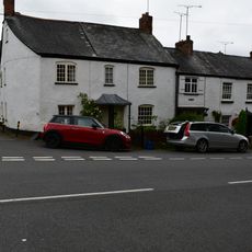 Rivulet Terrace  White Jays