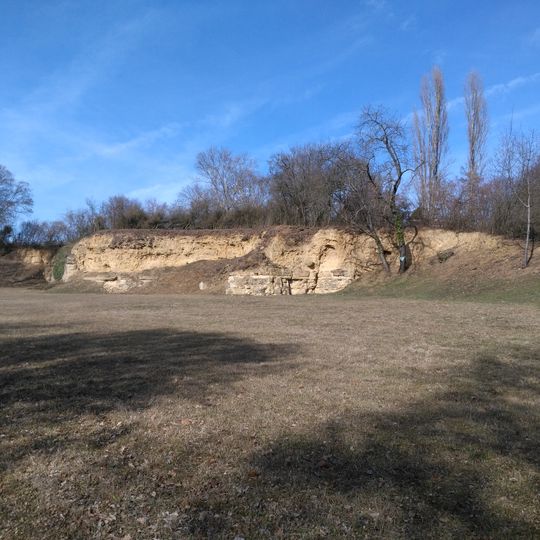 Erdgeschichtlicher Aufschluss im Oberen Muschelkalk
