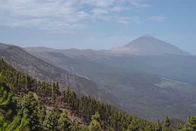 The view 0