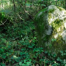 Häslerhau, Iron Age burial mound group