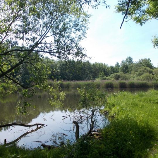 Leipziger Auensystem