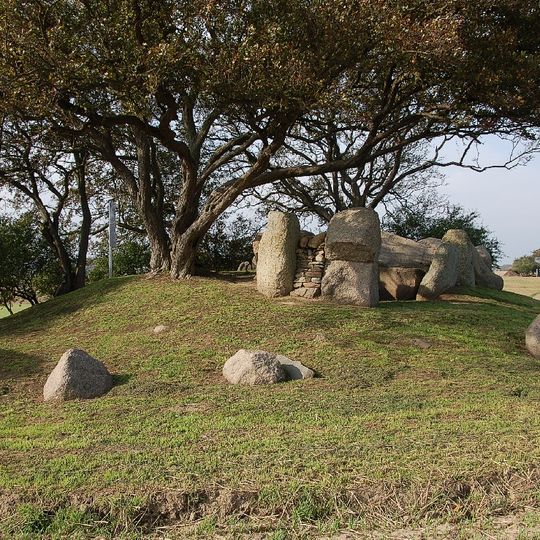Großsteingrab Gaarzer Hof 1