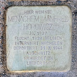 Stolperstein für Menachem Manfred Horowicz