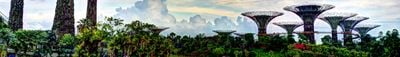 Panoramic View 3