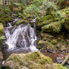 Breitnau-Hinterzarten