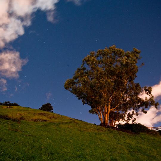 Billy Goat Hill, San Francisco