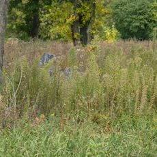Jewish cemetery in Siedlce