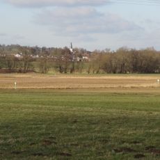 Salzwiesen von Münzenberg