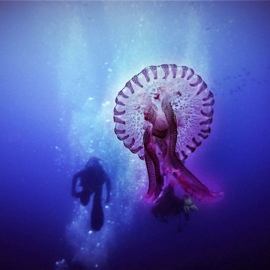 Secche di Tor Paterno