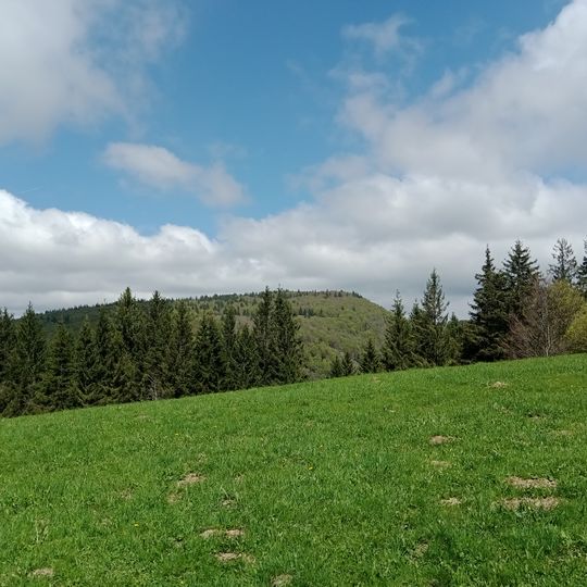 Tête des Neufs Bois