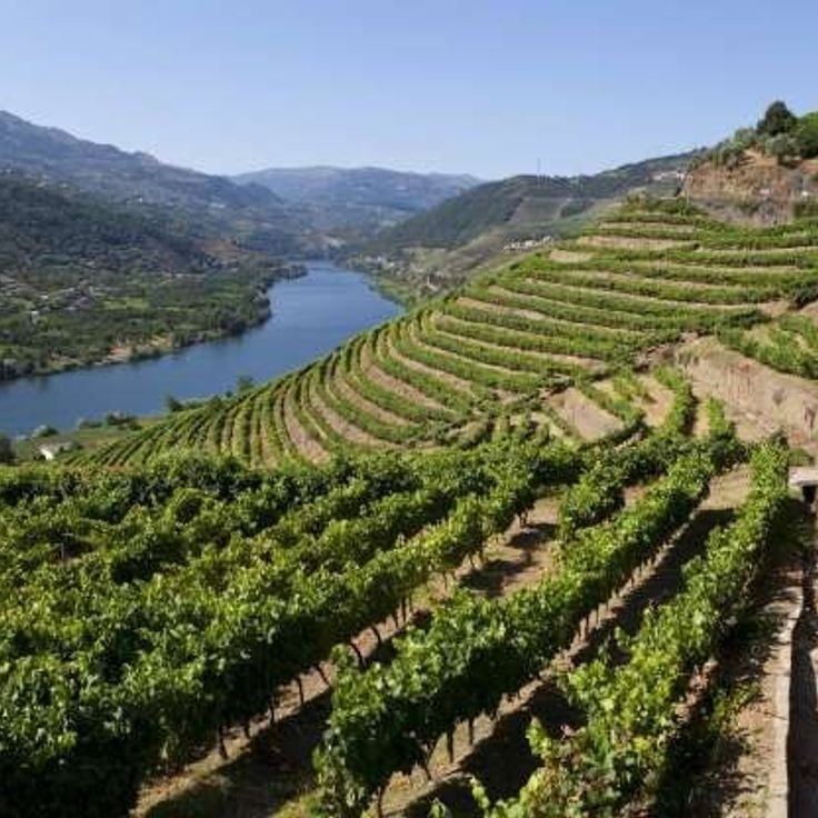 Douro