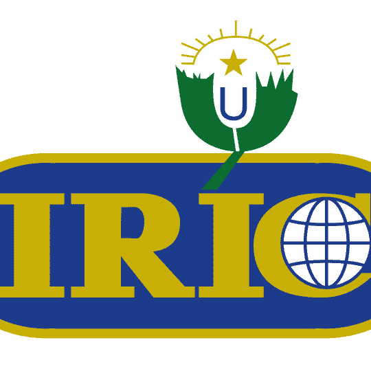 International Relations Institute of Cameroon
