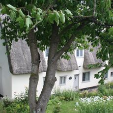 Cherry Tree Cottage