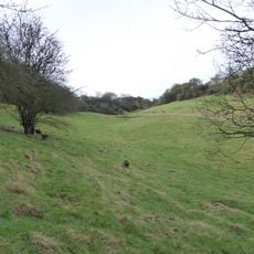 Coombe Hill Hollow