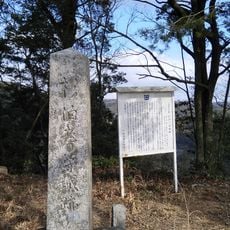 信田ノ丸城