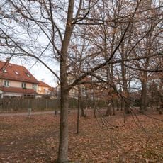 Einheitslinde in Feucht