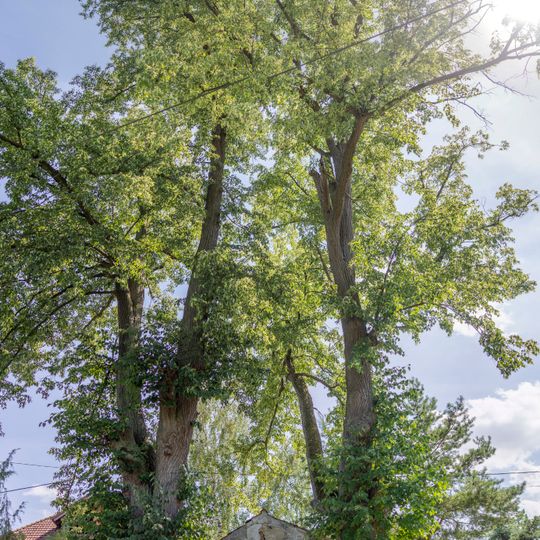 Kaplička v Nové Vsi u Mlýnského rybníka