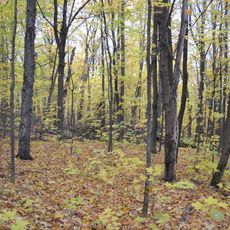 Site patrimonial du Boisé-Stein