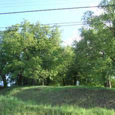 Lipové stromořadí v Rosicích