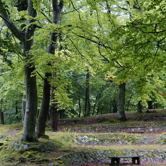 Bażantarnia Park in Elbląg