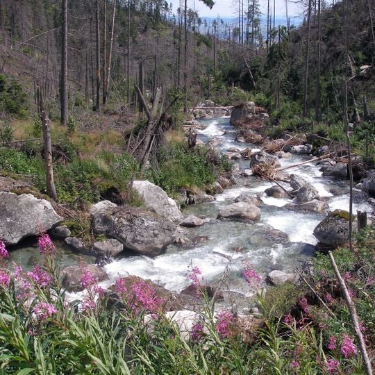 Dolina Studeného potoka