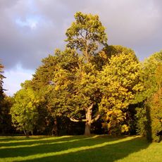Kaštieľ Klobušických, park