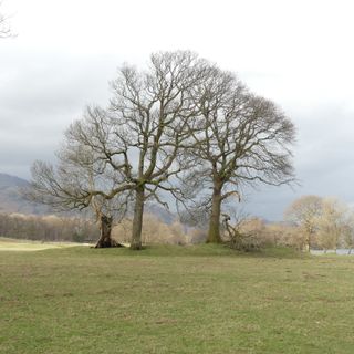 Two bloomeries, 340m and 570m NNE of Hoathwaite Landing on Coniston Water