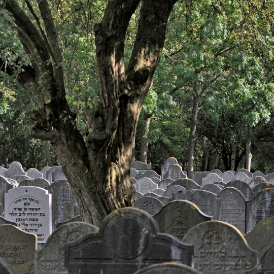 Nederlands-Israëlitische Begraafplaats: hoofdonderdeel