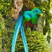 Photo spots in Guatemala