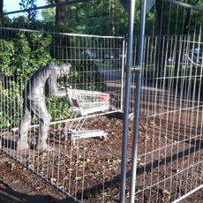 Mann mit Einkaufswagen