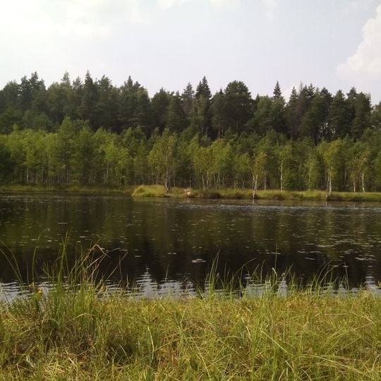 Звенигородская биостанция МГУ и карьер Сима