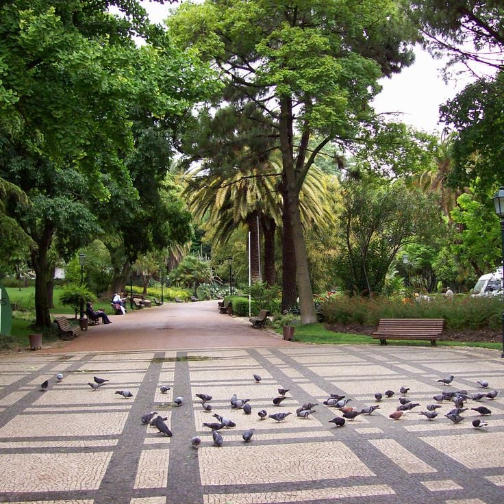 Jardim da Estrela