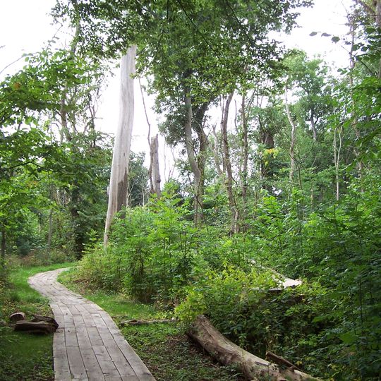 Dalby Söderskog National Park