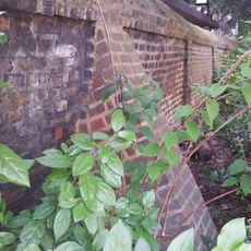 South East And South West Boundary Walls To Jewish Burial Ground