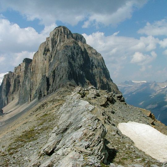 Yacimiento de Filópodos