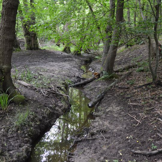 The Coppice, Kelvedon Hatch
