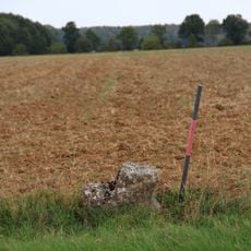 Sühnekreuz Creglingen IV