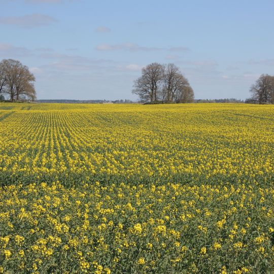 Großsteingräber von Gnewitz