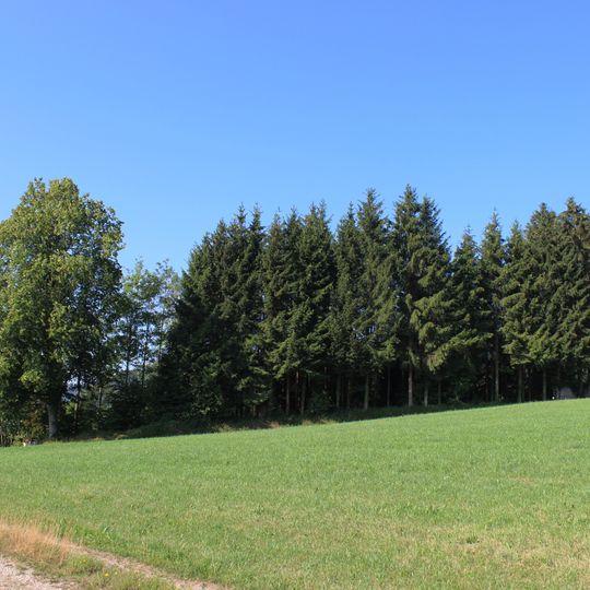 Burghügel Hushalden