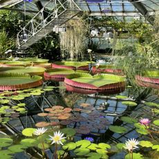 Orto botanico di San Pietroburgo