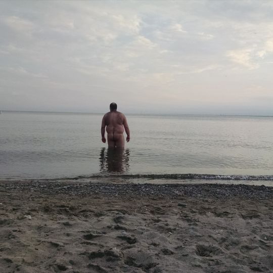 Hanlan's Point Beach