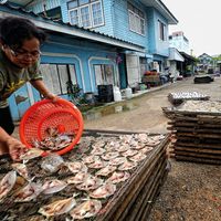 Prowincja Samut Sakhon