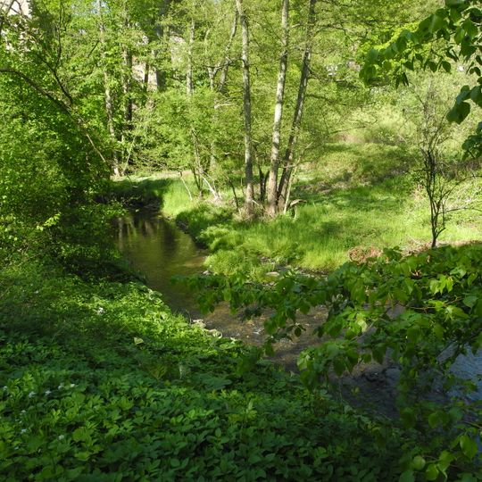 Vogelsangbachtal