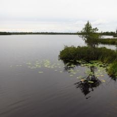 Pitkjärv